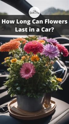 how long can flowers last in a car? what does this tell us about the durability of our own lives?